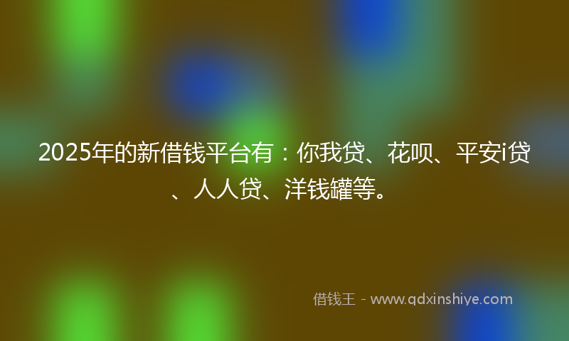 2025年的新借钱平台有：你我贷、花呗、平安i贷、人人贷、洋钱罐等。