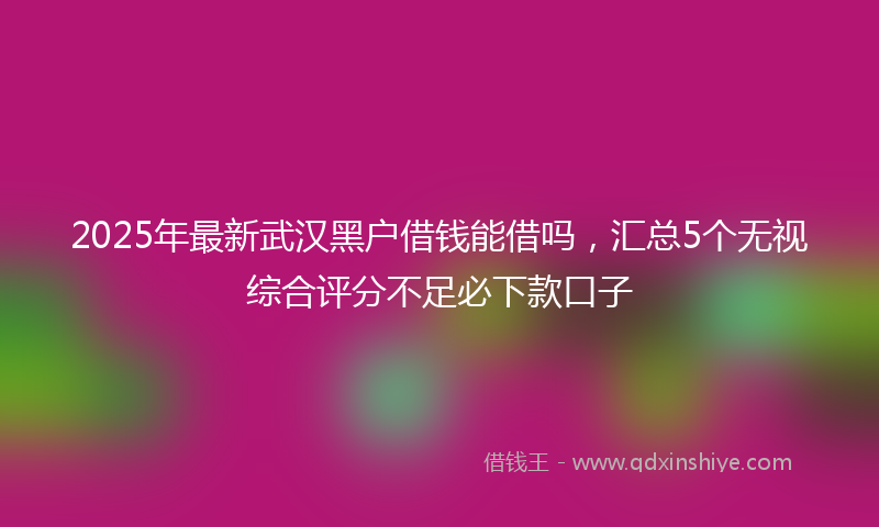 2025年最新武汉黑户借钱能借吗，汇总5个无视综合评分不足必下款口子