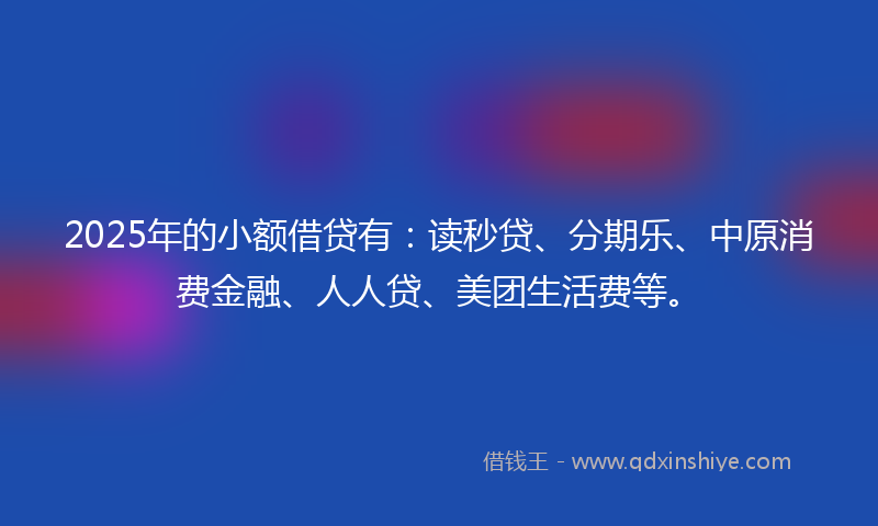 2025年的小额借贷有：读秒贷、分期乐、中原消费金融、人人贷、美团生活费等。