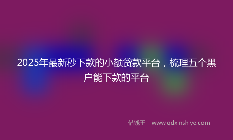 2025年最新秒下款的小额贷款平台，梳理五个黑户能下款的平台