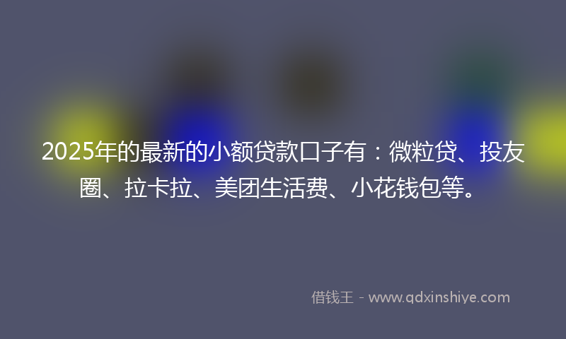 2025年的最新的小额贷款口子有：微粒贷、投友圈、拉卡拉、美团生活费、小花钱包等。