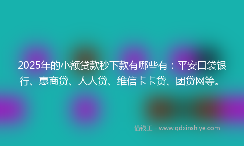 2025年的小额贷款秒下款有哪些有：平安口袋银行、惠商贷、人人贷、维信卡卡贷、团贷网等。