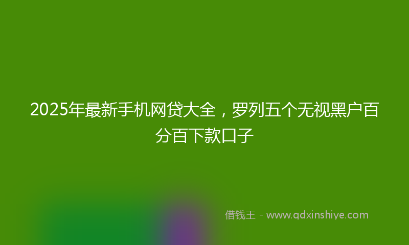 2025年最新手机网贷大全，罗列五个无视黑户百分百下款口子