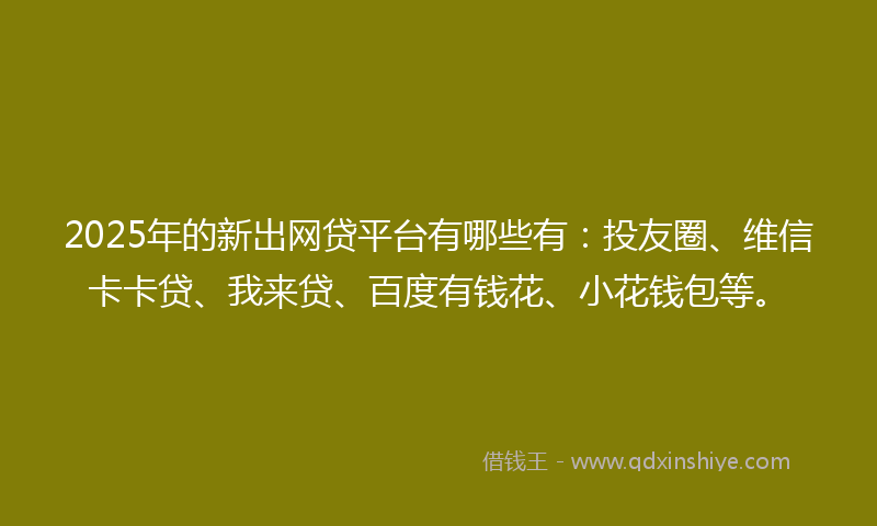 2025年的新出网贷平台有哪些有：投友圈、维信卡卡贷、我来贷、百度有钱花、小花钱包等。