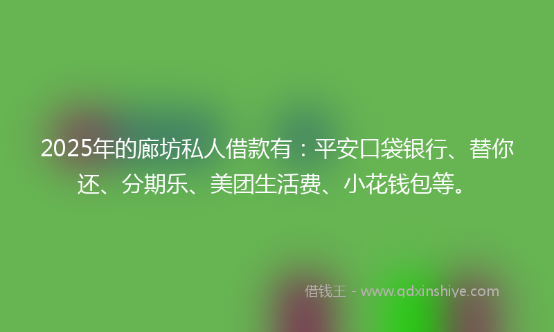 2025年的廊坊私人借款有：平安口袋银行、替你还、分期乐、美团生活费、小花钱包等。