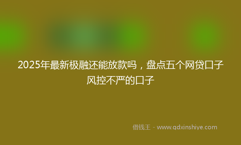 2025年最新极融还能放款吗，盘点五个网贷口子风控不严的口子