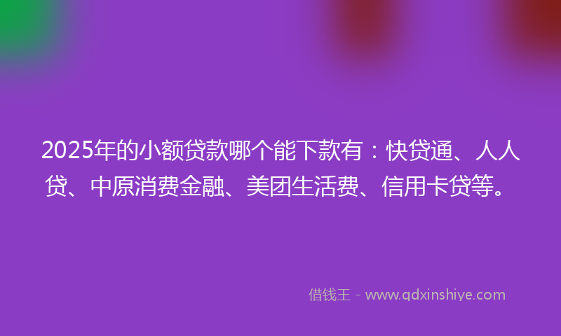2025年的小额贷款哪个能下款有：快贷通、人人贷、中原消费金融、美团生活费、信用卡贷等。