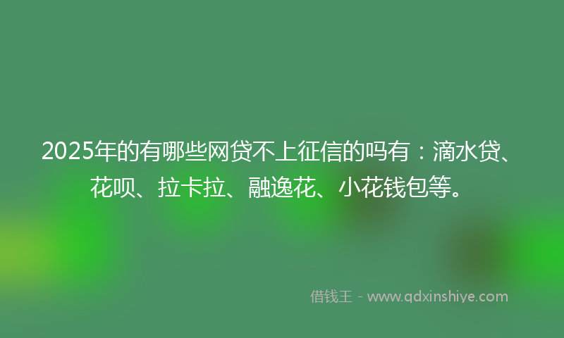 2025年的有哪些网贷不上征信的吗有：滴水贷、花呗、拉卡拉、融逸花、小花钱包等。