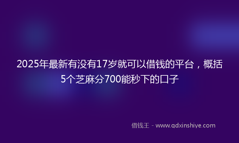 2025年最新有没有17岁就可以借钱的平台，概括5个芝麻分700能秒下的口子
