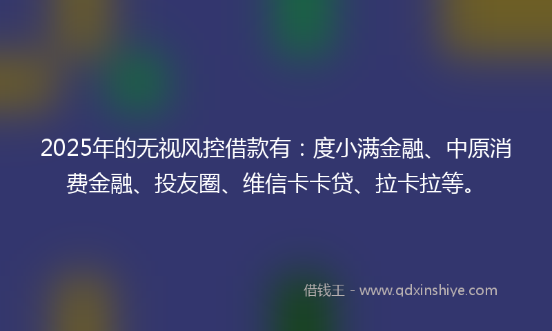 2025年的无视风控借款有：度小满金融、中原消费金融、投友圈、维信卡卡贷、拉卡拉等。