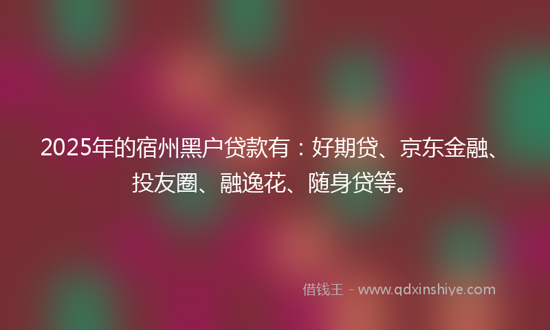 2025年的宿州黑户贷款有：好期贷、京东金融、投友圈、融逸花、随身贷等。