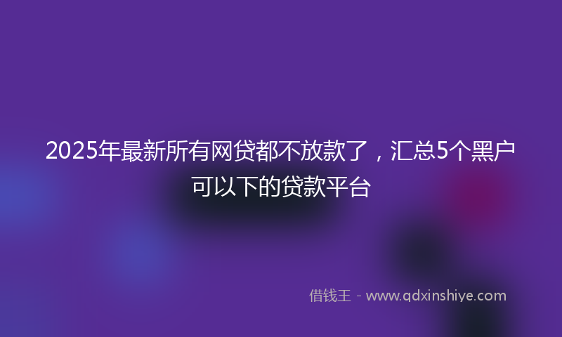 2025年最新所有网贷都不放款了，汇总5个黑户可以下的贷款平台