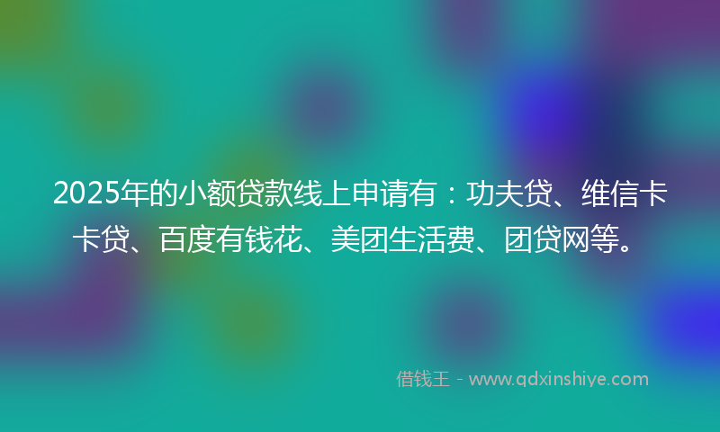 2025年的小额贷款线上申请有：功夫贷、维信卡卡贷、百度有钱花、美团生活费、团贷网等。