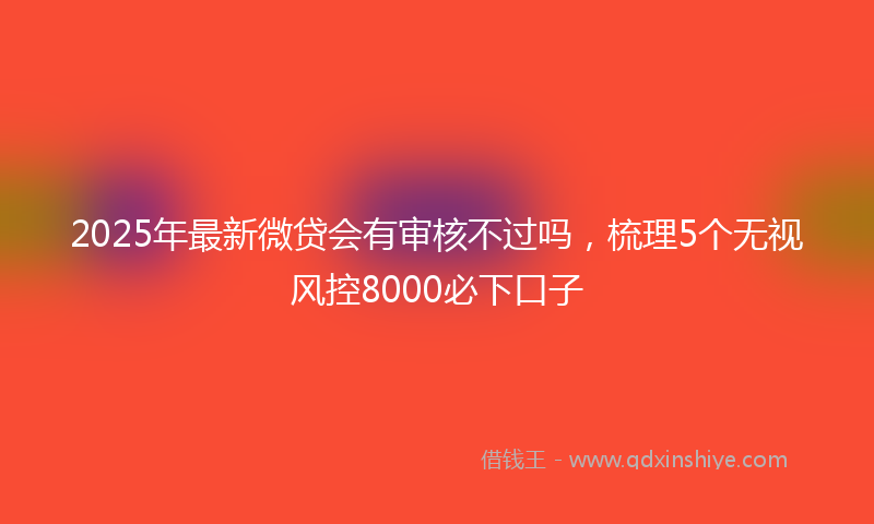 2025年最新微贷会有审核不过吗，梳理5个无视风控8000必下口子