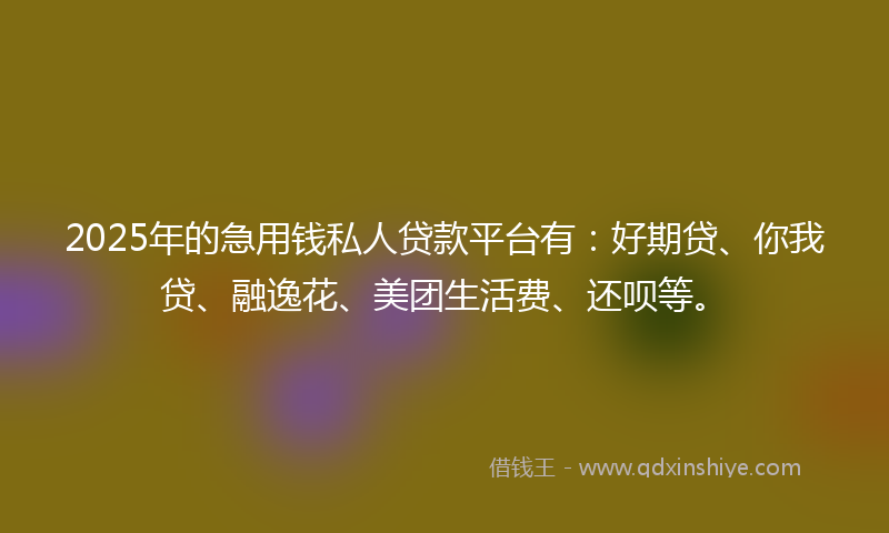 2025年的急用钱私人贷款平台有：好期贷、你我贷、融逸花、美团生活费、还呗等。