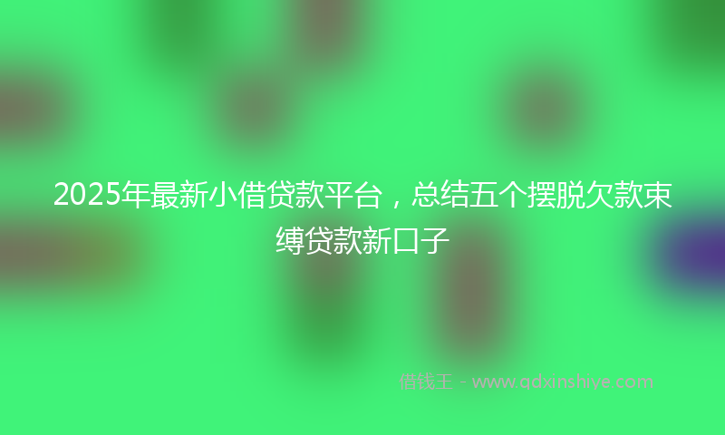 2025年最新小借贷款平台，总结五个摆脱欠款束缚贷款新口子