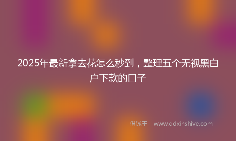 2025年最新拿去花怎么秒到，整理五个无视黑白户下款的口子