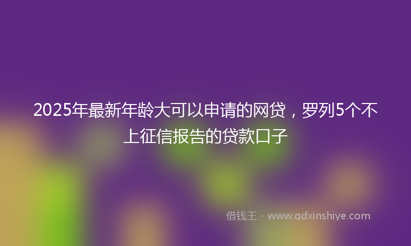 2025年最新年龄大可以申请的网贷，罗列5个不上征信报告的贷款口子
