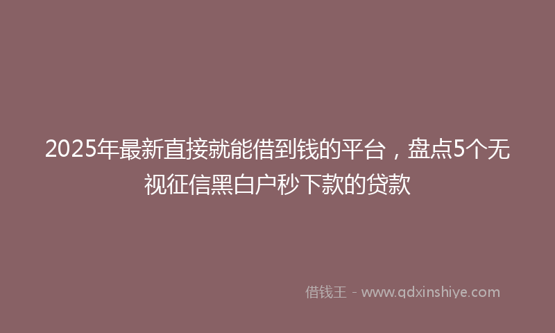 2025年最新直接就能借到钱的平台，盘点5个无视征信黑白户秒下款的贷款