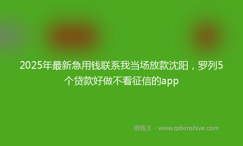 2025年最新急用钱联系我当场放款沈阳，罗列5个贷款好做不看征信的app
