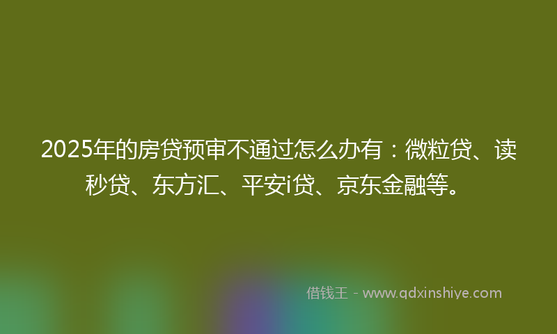 2025年的房贷预审不通过怎么办有：微粒贷、读秒贷、东方汇、平安i贷、京东金融等。