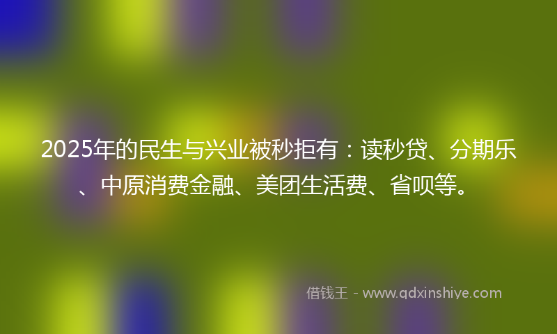 2025年的民生与兴业被秒拒有：读秒贷、分期乐、中原消费金融、美团生活费、省呗等。