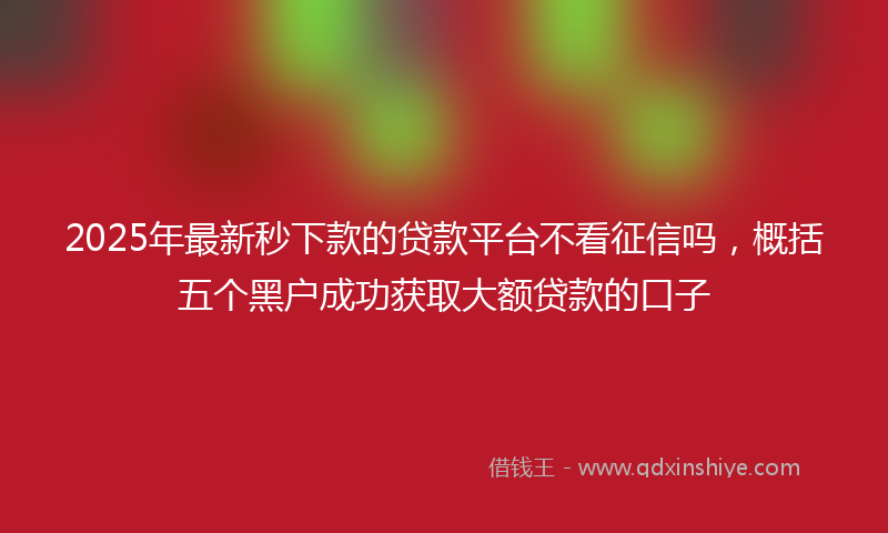 2025年最新秒下款的贷款平台不看征信吗，概括五个黑户成功获取大额贷款的口子