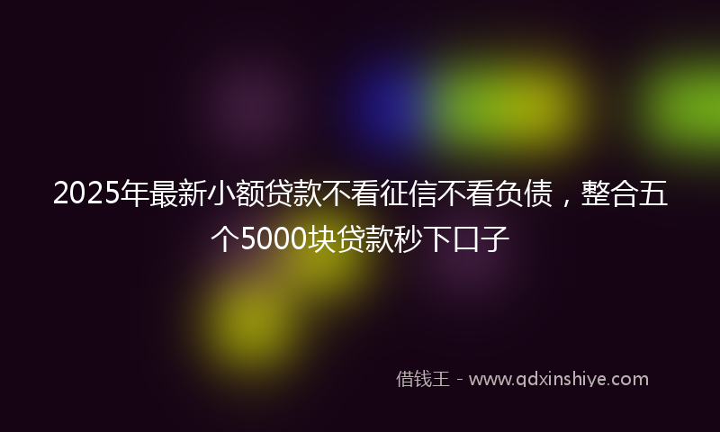 2025年最新小额贷款不看征信不看负债，整合五个5000块贷款秒下口子