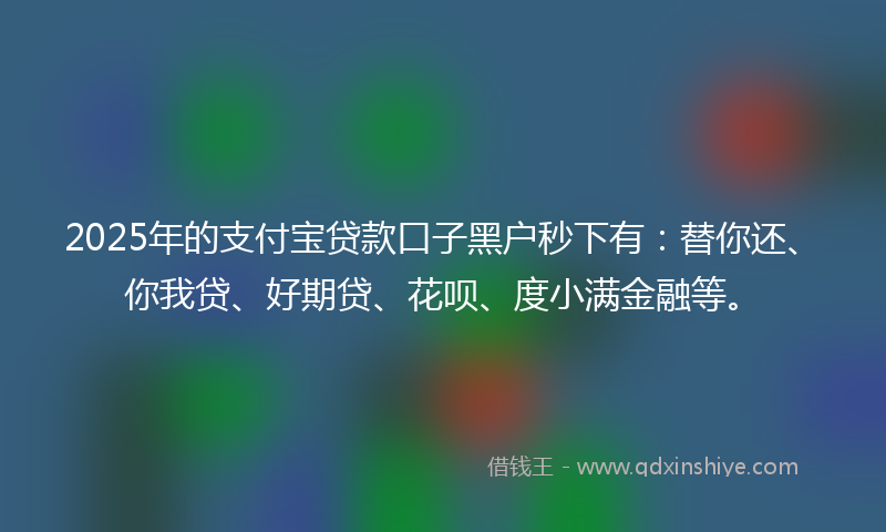 2025年的支付宝贷款口子黑户秒下有：替你还、你我贷、好期贷、花呗、度小满金融等。