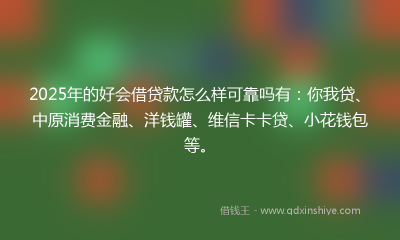 2025年的好会借贷款怎么样可靠吗有：你我贷、中原消费金融、洋钱罐、维信卡卡贷、小花钱包等。