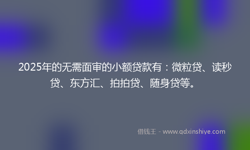 2025年的无需面审的小额贷款有：微粒贷、读秒贷、东方汇、拍拍贷、随身贷等。