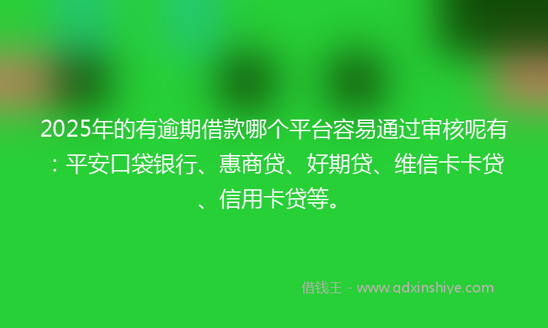 2025年的有逾期借款哪个平台容易通过审核呢有：平安口袋银行、惠商贷、好期贷、维信卡卡贷、信用卡贷等。