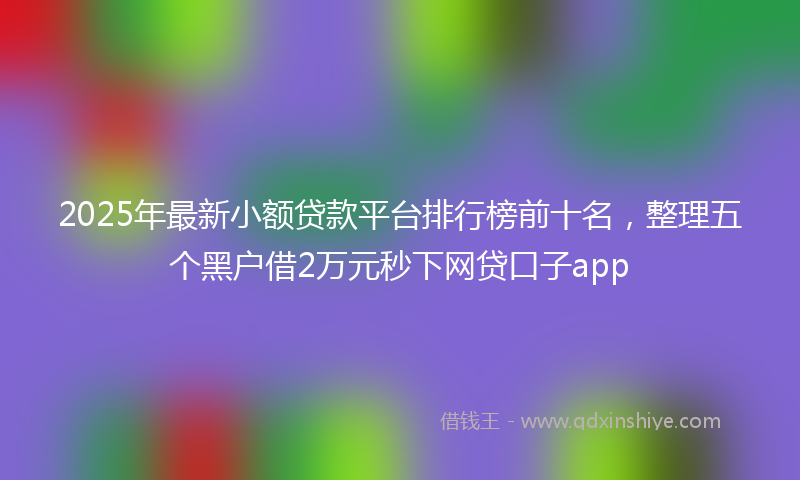 2025年最新小额贷款平台排行榜前十名，整理五个黑户借2万元秒下网贷口子app