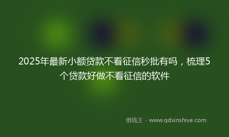 2025年最新小额贷款不看征信秒批有吗，梳理5个贷款好做不看征信的软件