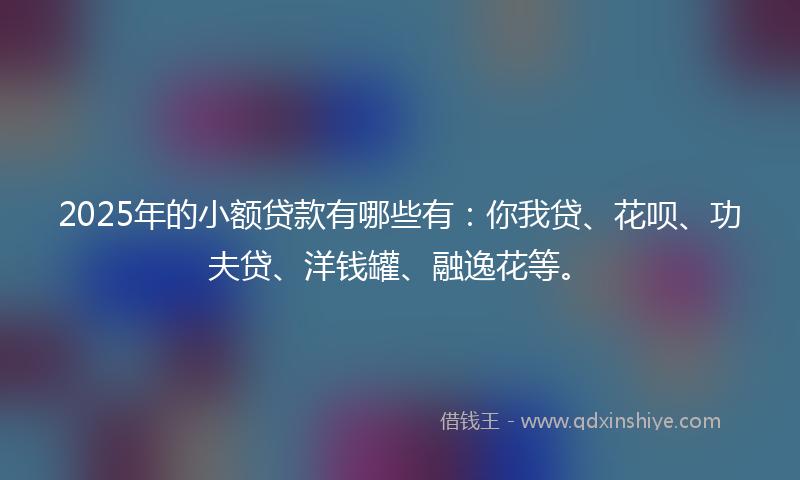 2025年的小额贷款有哪些有：你我贷、花呗、功夫贷、洋钱罐、融逸花等。