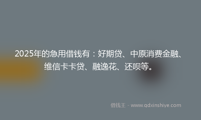 2025年的急用借钱有：好期贷、中原消费金融、维信卡卡贷、融逸花、还呗等。