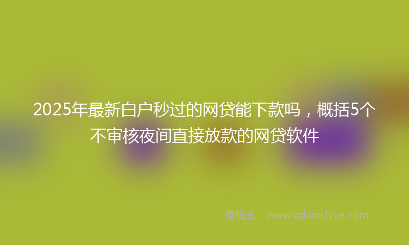 2025年最新白户秒过的网贷能下款吗，概括5个不审核夜间直接放款的网贷软件