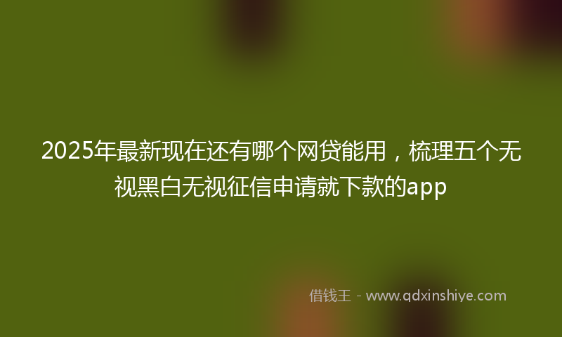2025年最新现在还有哪个网贷能用，梳理五个无视黑白无视征信申请就下款的app