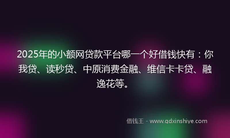 2025年的小额网贷款平台哪一个好借钱快有：你我贷、读秒贷、中原消费金融、维信卡卡贷、融逸花等。
