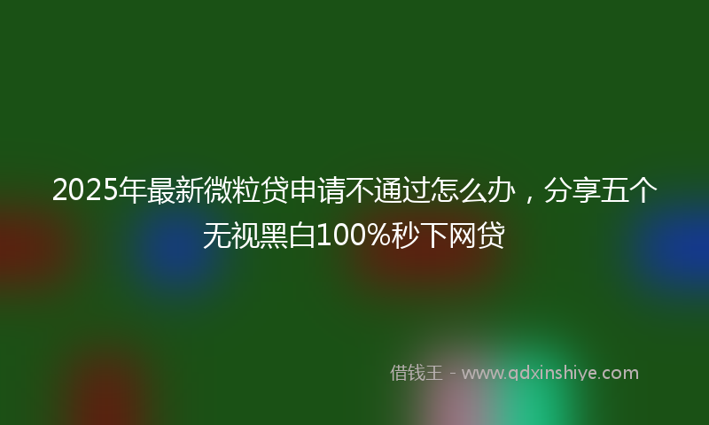 2025年最新微粒贷申请不通过怎么办，分享五个无视黑白100%秒下网贷