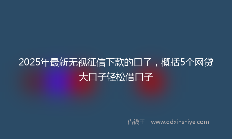 2025年最新无视征信下款的口子，概括5个网贷大口子轻松借口子