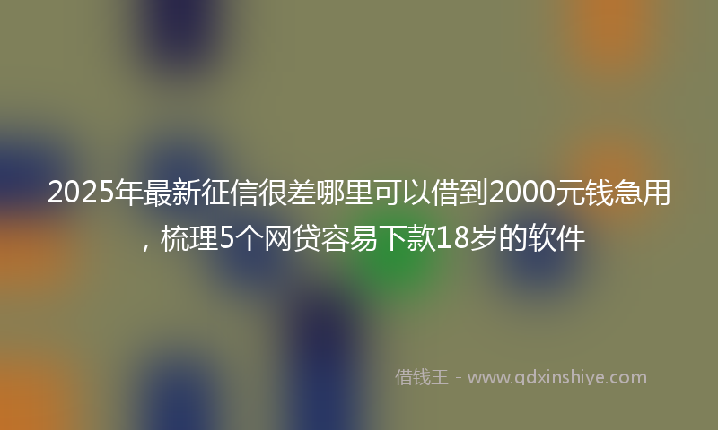 2025年最新征信很差哪里可以借到2000元钱急用，梳理5个网贷容易下款18岁的软件