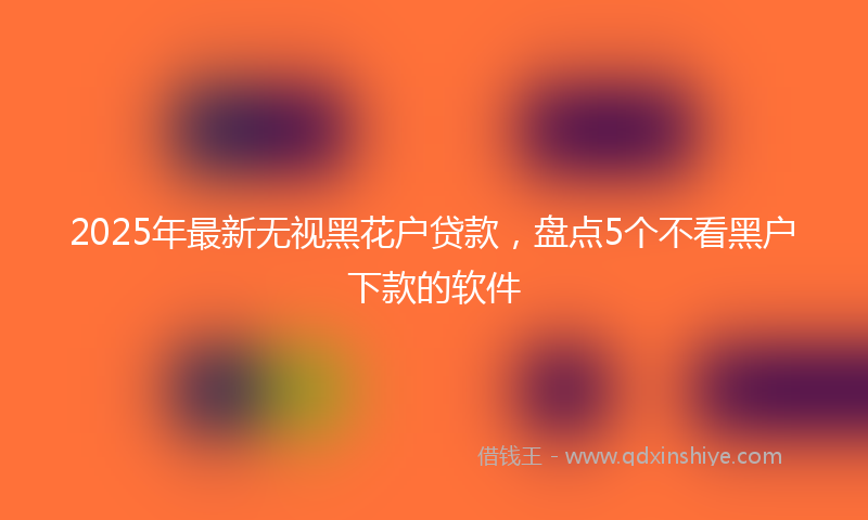 2025年最新无视黑花户贷款，盘点5个不看黑户下款的软件