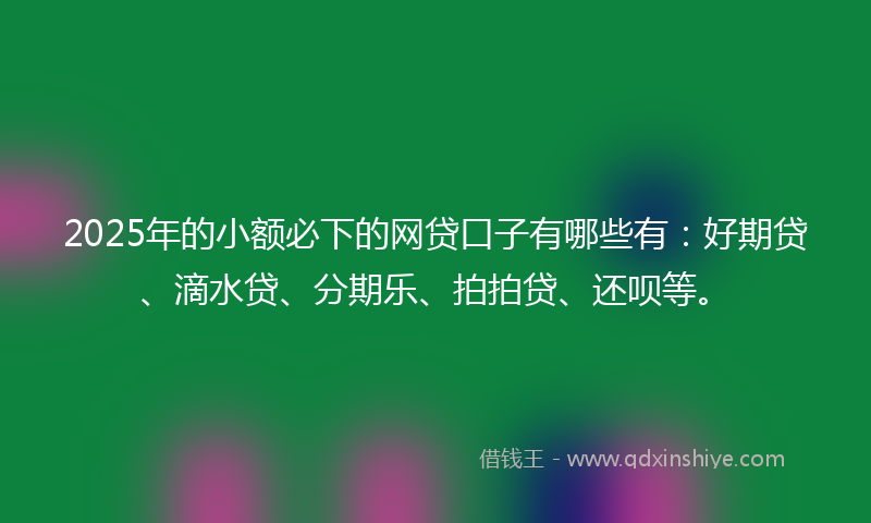 2025年的小额必下的网贷口子有哪些有：好期贷、滴水贷、分期乐、拍拍贷、还呗等。