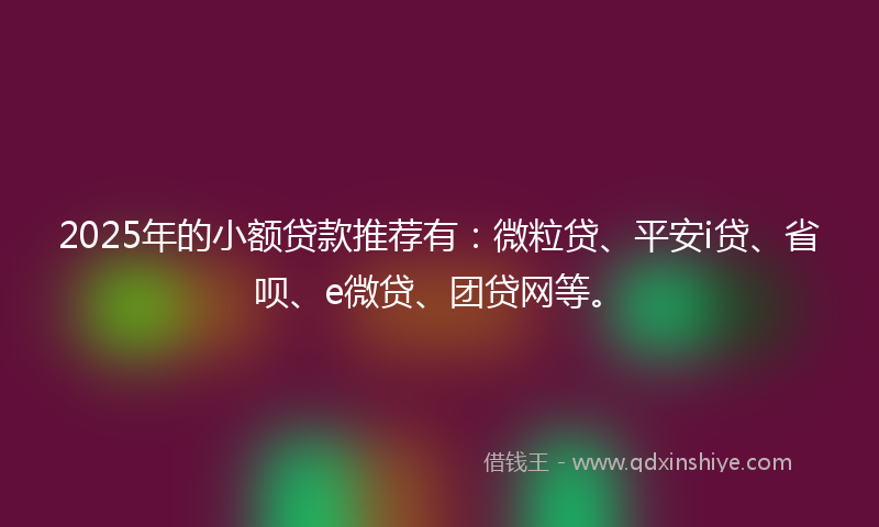 2025年的小额贷款推荐有：微粒贷、平安i贷、省呗、e微贷、团贷网等。