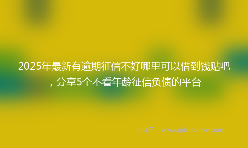 2025年最新有逾期征信不好哪里可以借到钱贴吧，分享5个不看年龄征信负债的平台