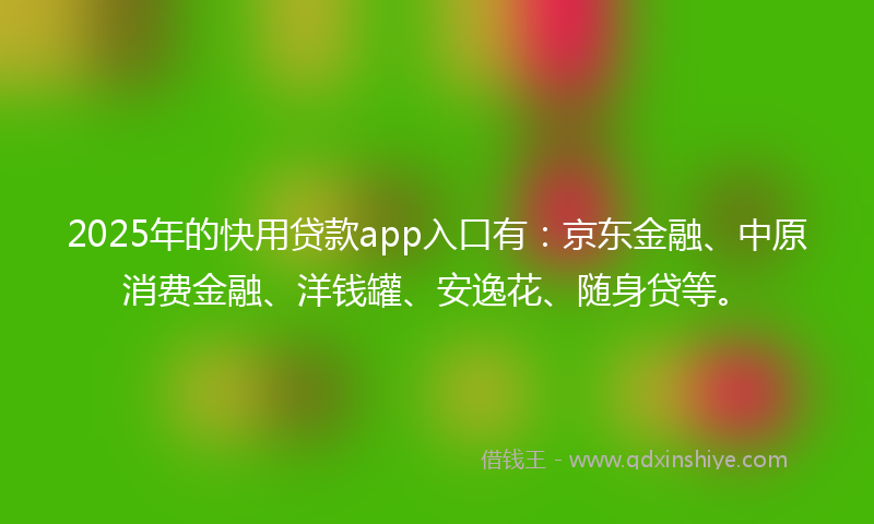 2025年的快用贷款app入口有：京东金融、中原消费金融、洋钱罐、安逸花、随身贷等。