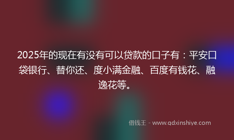 2025年的现在有没有可以贷款的口子有：平安口袋银行、替你还、度小满金融、百度有钱花、融逸花等。