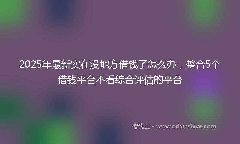 2025年最新实在没地方借钱了怎么办，整合5个借钱平台不看综合评估的平台