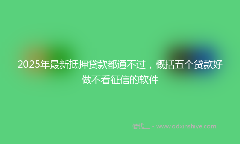 2025年最新抵押贷款都通不过，概括五个贷款好做不看征信的软件